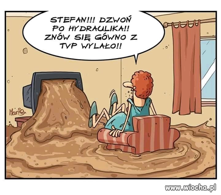 TVPiS