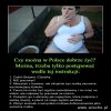 A ty uczciwy obywatelu idź i zap***alaj
