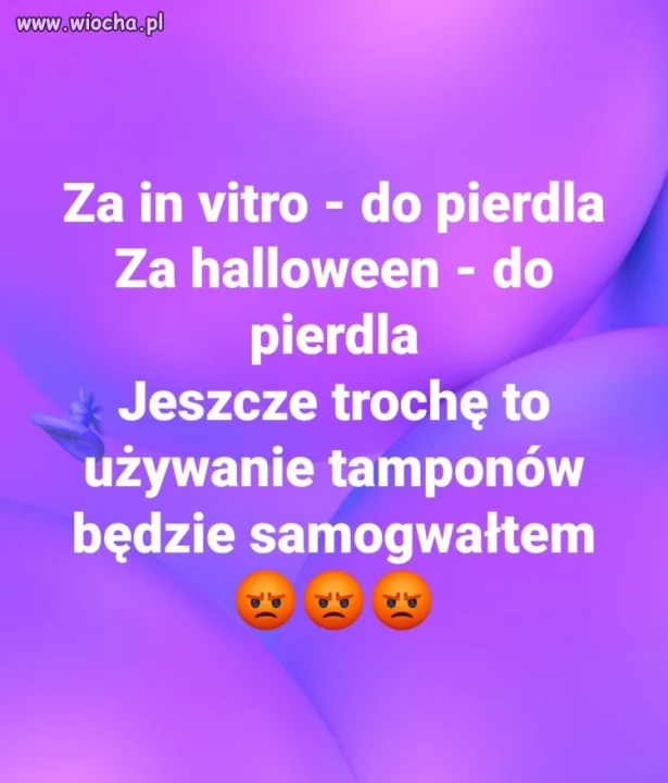 Bez komentarza 