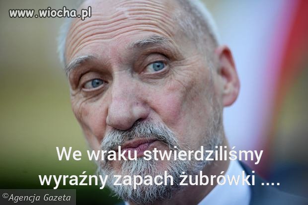 Komisja Śledcza