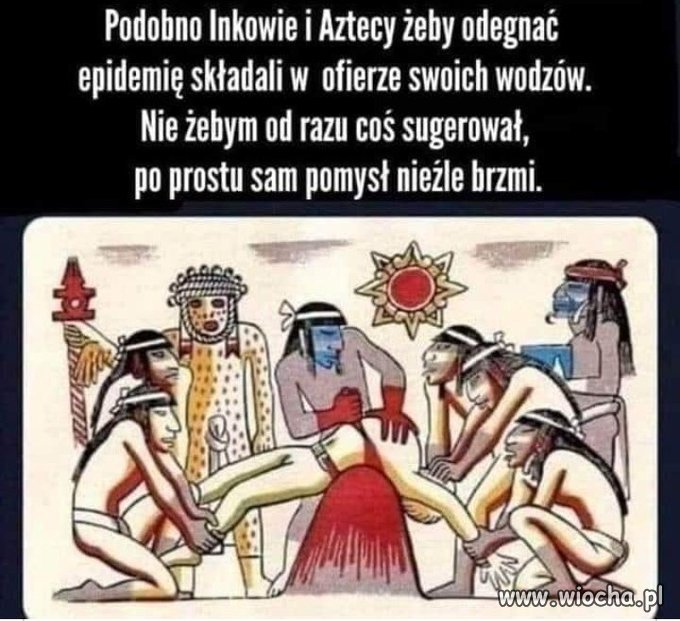 Widzę w tym sens.