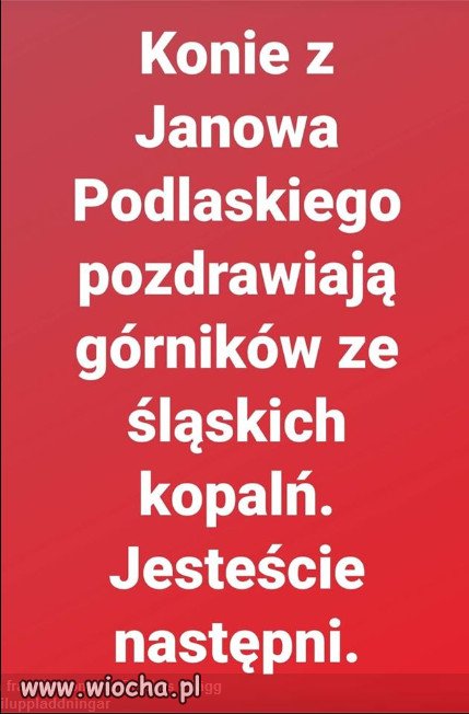 Nie jeden koń w Janowie śmieje się z górników