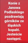 Nie jeden koń w Janowie śmieje się z górników
