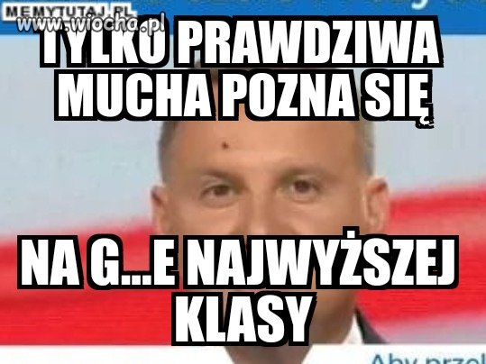 Końska mucha dostąpiła zaszczytu poznania...