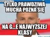 Końska mucha dostąpiła zaszczytu poznania...