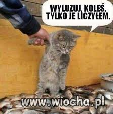 Wyluzuj...