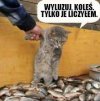 Wyluzuj...