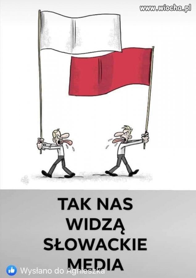 Słowacy.