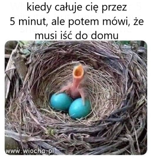 Sine jaja 