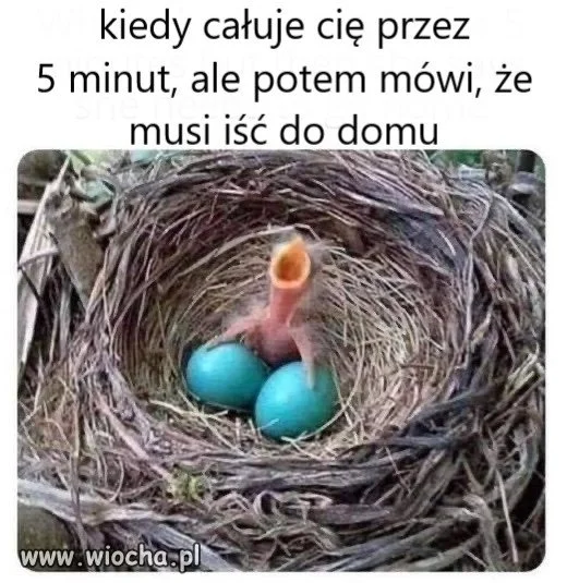 Sine jaja 