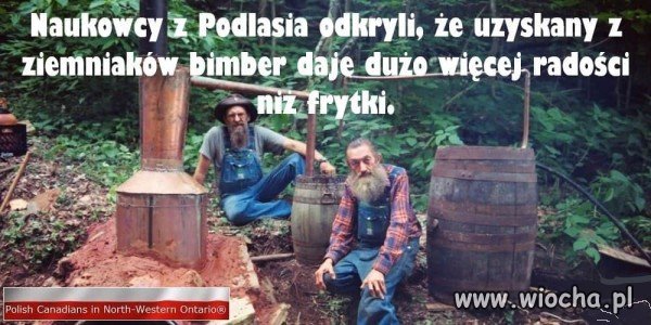 Naukowcy z Podlasia