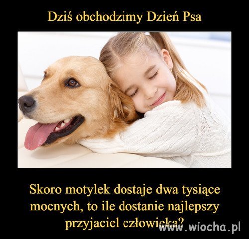 Dzień psa