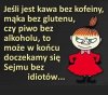 Chyba 