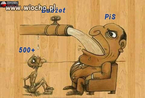 Rura budżetowa