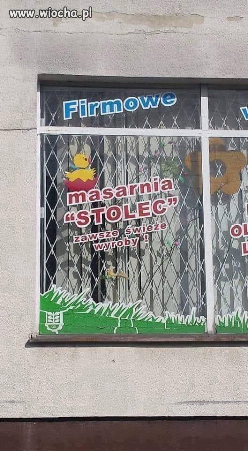 Zawsze świeże 
