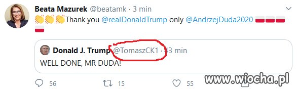 Niezłe tumany 