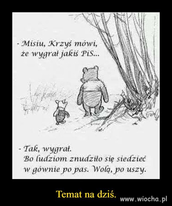 Skoro wolicie