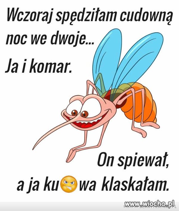 Dziś 