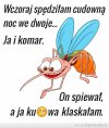 Dziś 