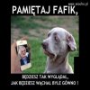 Za mocno za młodu dawał
