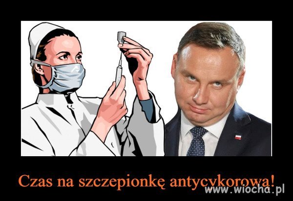 Na głupotę jeszcze nie 