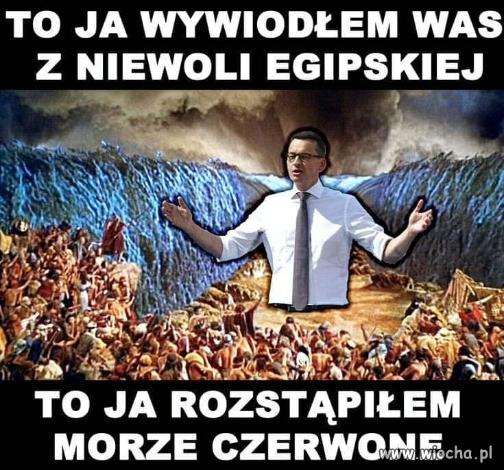 Matołuszek
