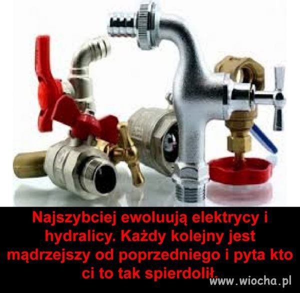 Ewoluują najszybciej