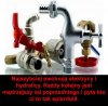 Ewoluują najszybciej