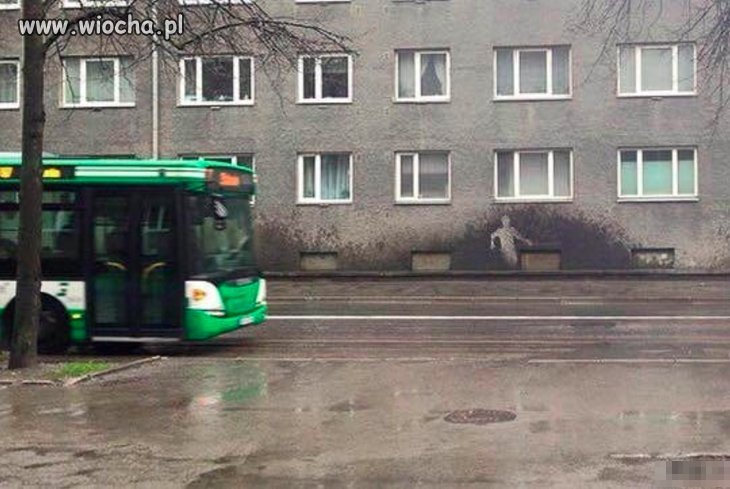 Najsmutniejsze zdjęcie świata