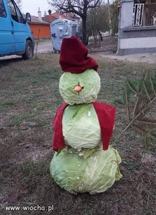 Jakie zimy...taki bałwan