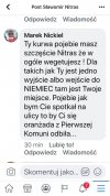 Spokojny wyborca PiS 