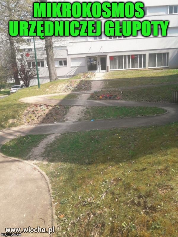 Prawdziwy"Mikrokosmos"