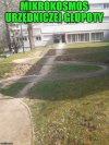 Prawdziwy"Mikrokosmos"