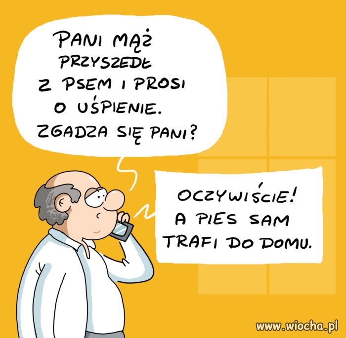Tytuł zbędny