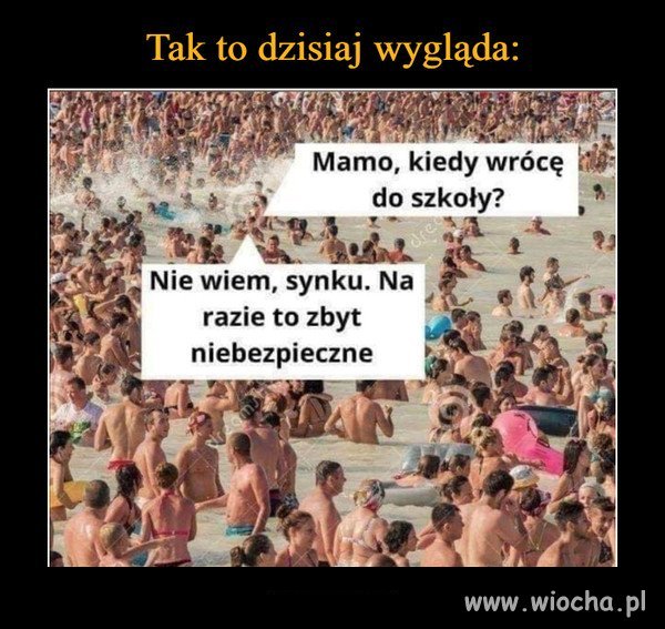 Zaraza 