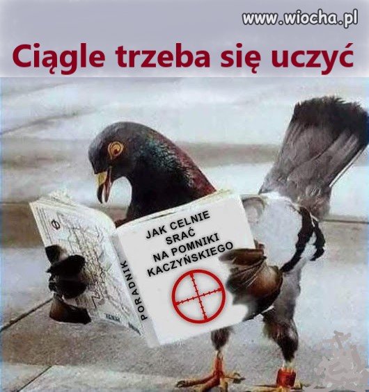 Z działu ~poradniki~