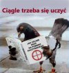Z działu ~poradniki~