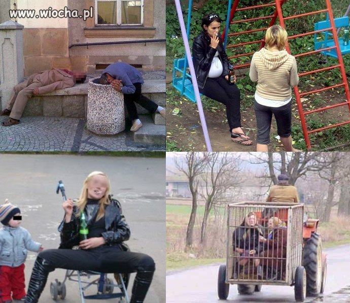 Lepszy sort wybrał, dziś świętują