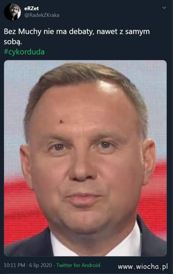Mucha zawsze 
