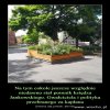 Wspaniała pożyteczna inicjatywa zagospodarowania