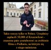 Jak pisowskie głupole na urzędach promują podlasie