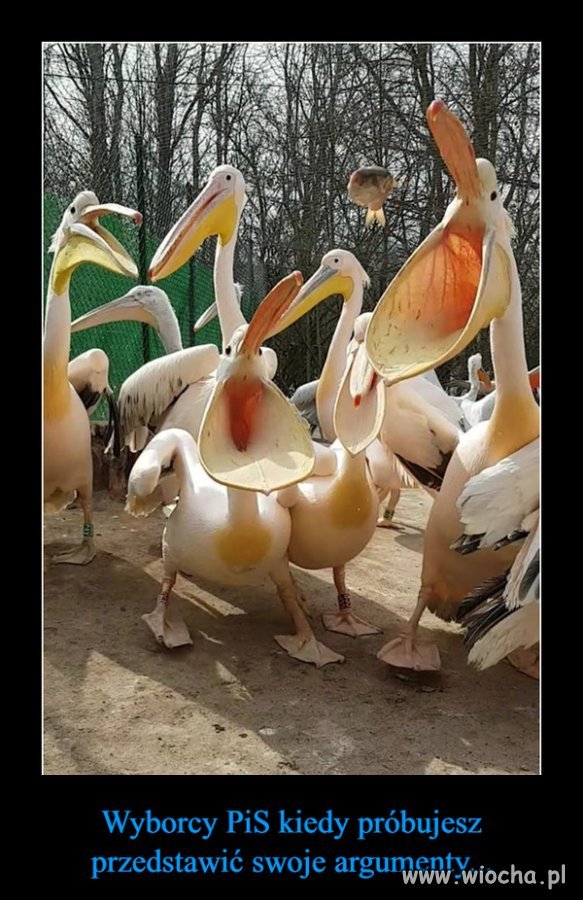 Na wiecu Dudy