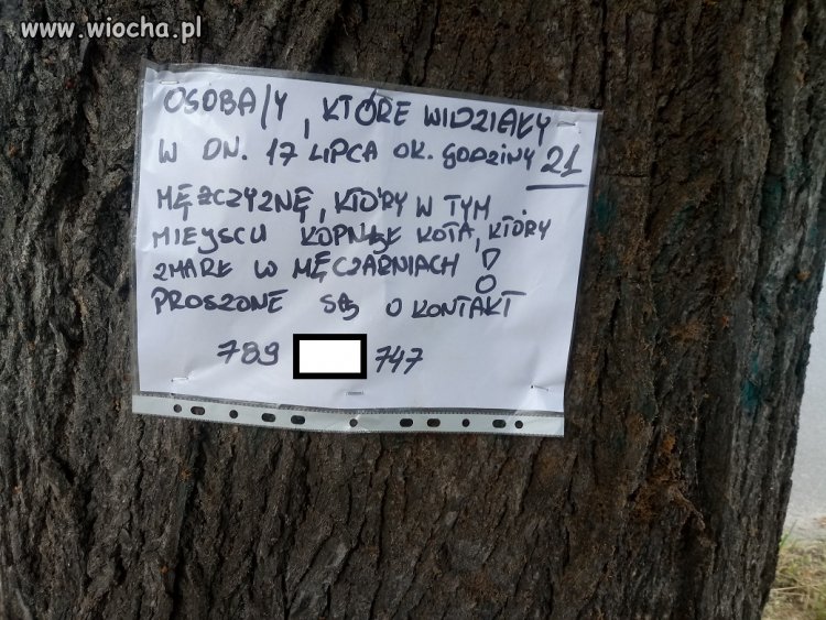 Jakim trzeba być... i tu brak słów