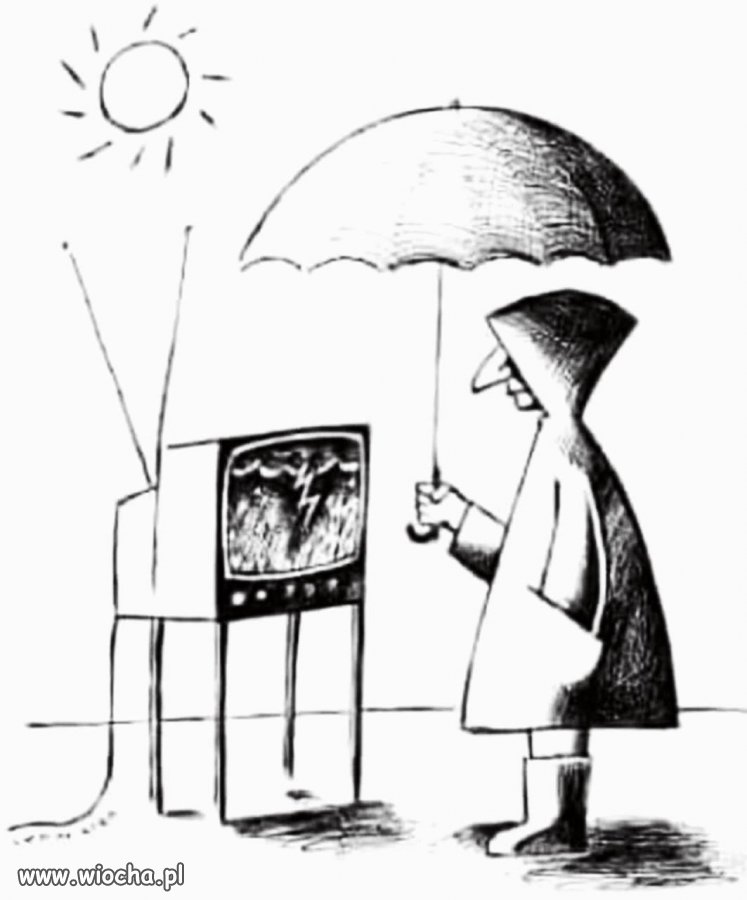 Tvpis