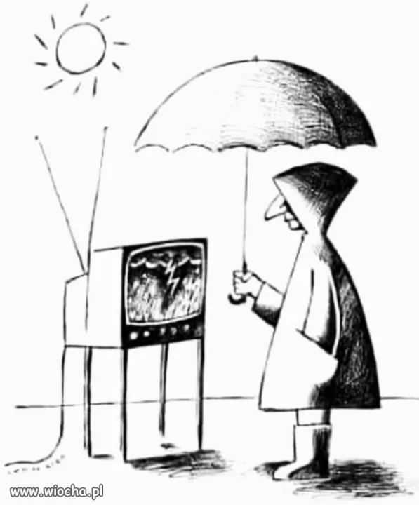 Tvpis