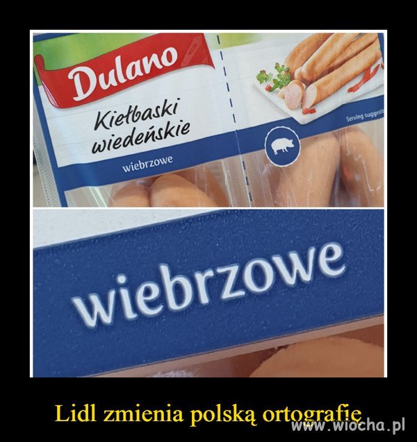 Język polski 