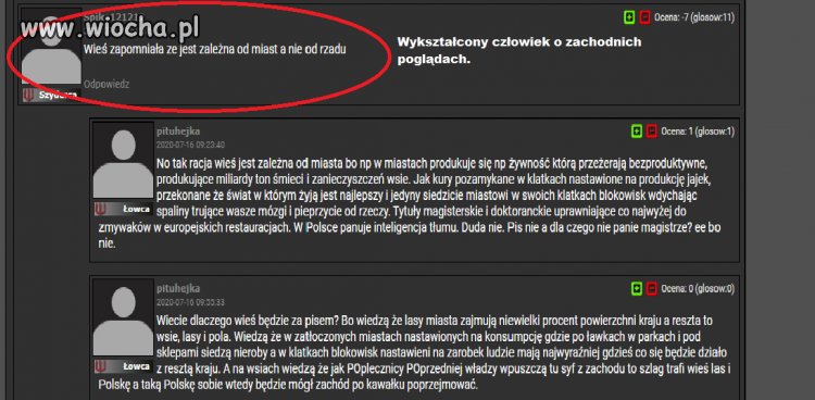 Wykształcenie