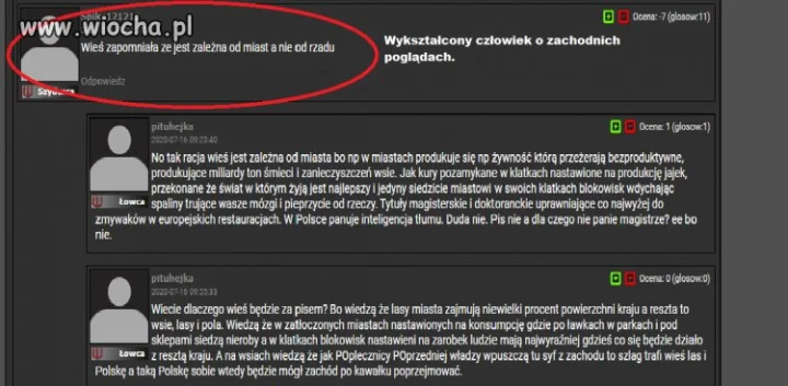 Wykształcenie