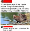 Heheszki polityczne