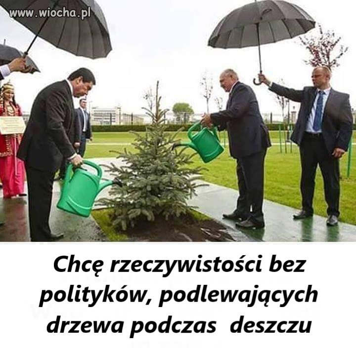 Politycy wszędzie są tacy sami   